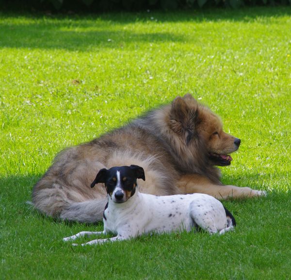 Wanja und Bille