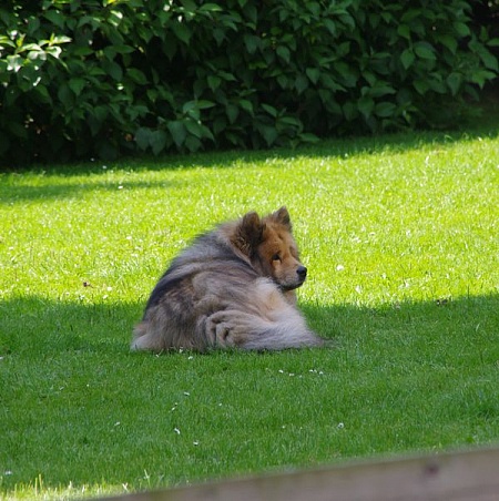 Und was ist mit mir?