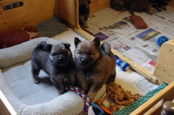 Miina und Marty