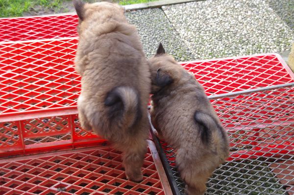 Marty und Naaja