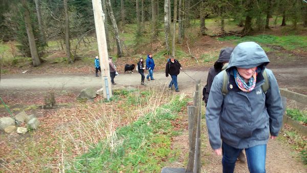 Hoch hinaus
