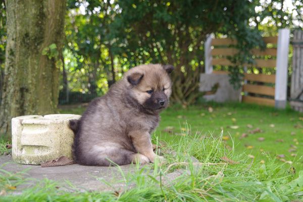 Keiko
