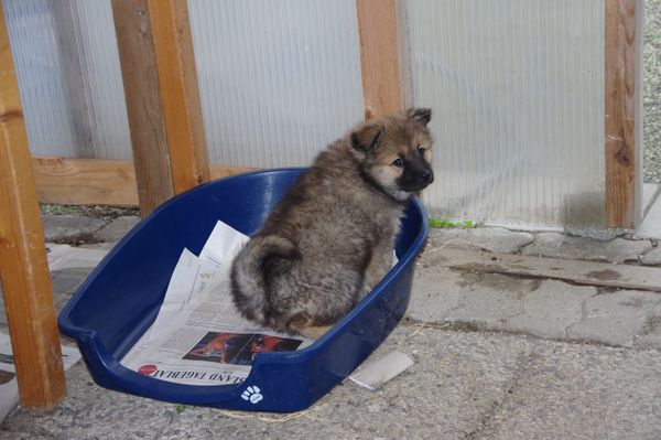 Keiko - brav!