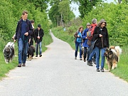 Übersichtsbild der Kategorie Bad Segeberg 2015