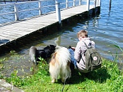 Übersichtsbild der Kategorie Bosau
