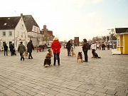 Übersichtsbild der Kategorie Eurasiertraining in Eckernförde 2012