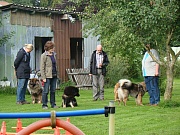 Übersichtsbild der Kategorie Eurasiertraining in Wischsegen 2012