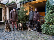 Übersichtsbild der Kategorie Flensburg 2016