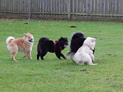 Übersichtsbild der Kategorie J -Treffen am 01.11.14 im Erlebniswald Trappenkamp