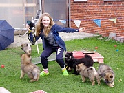 Übersichtsbild der Kategorie K-Wurf Woche 9