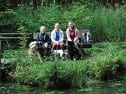 Übersichtsbild der Kategorie Kinderwanderung Langenberg