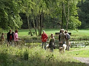 Übersichtsbild der Kategorie Leck / Langenberger Forst 