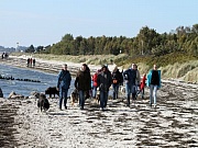 Übersichtsbild der Kategorie Riekendahl-Treffen Grömitz 10.10.15