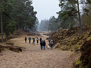 Übersichtsbild der Kategorie Riekendahl-Treffen  Leck 20.03.21