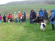 Übersichtsbild der Kategorie Riekendahl-Treffen Lütjenburg 09.11.13