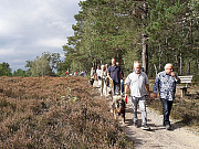 Übersichtsbild der Kategorie Riekendahl-Treffen Undeloh 15.09.2019