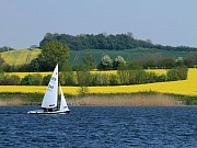 Übersichtsbild der Kategorie Segeberger See (Frühling)