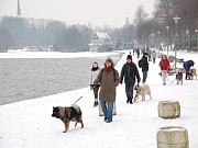 Übersichtsbild der Kategorie Segeberger See (Winter)
