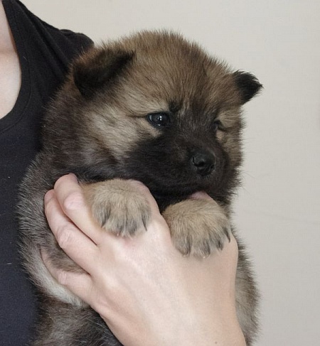 Keiko