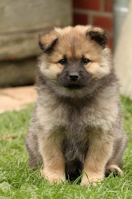 Keiko