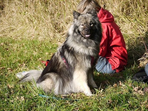 Nala