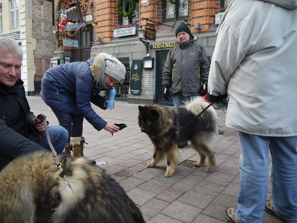 Na, Frodo, - Durst?