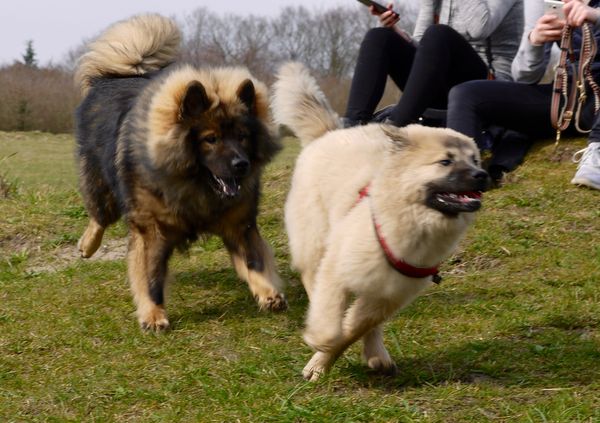 Lima und Ayla