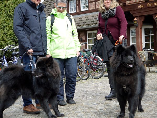 Lasse und Luca