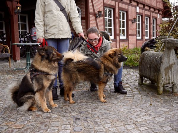 Fenny und Lotta