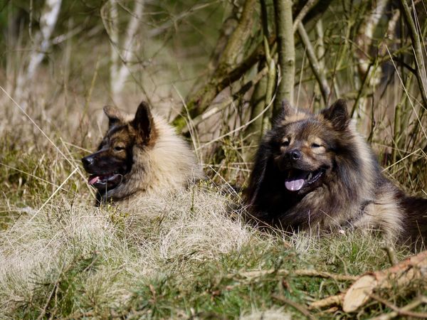 Leni und Tajo