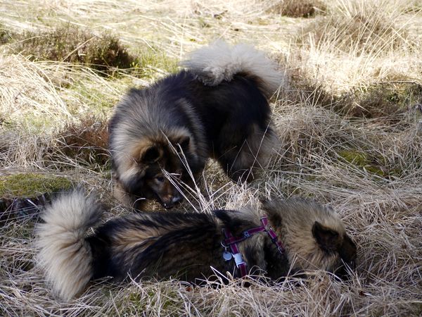 Tajo muss seine Tochter näher kennenlernen