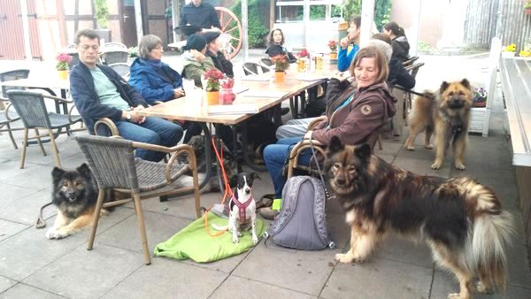 Schnappschuss vom anschließenden Essen