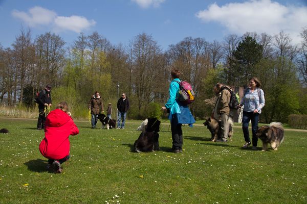 Aufwärmtraining 