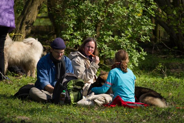 Picknick 