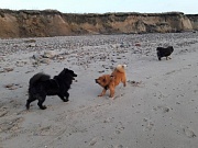 Piri, Stella und Cuba