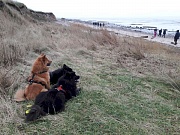 Neujahrsspaziergang in Hjerpsted
