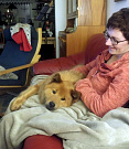 Stella als Sofahund