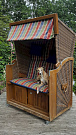 Ein Whippet hingegen