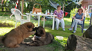 Sabine und Elke plaudern,