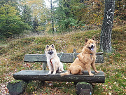 Nayeli und Stella