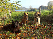 Piri, Stella, Milow