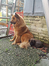 Stella und Carlos