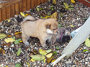 Osa und Nelly