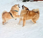 Osa und Manja