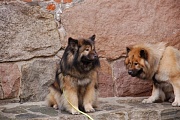 Lenka und Aslan