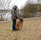 Stephie und Fenris