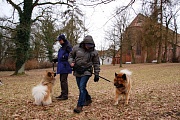 Inga mit Aslan und Stephie mit Fenris
