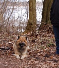 Aslan