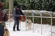 Slalom mit Yelly