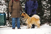 Aslan